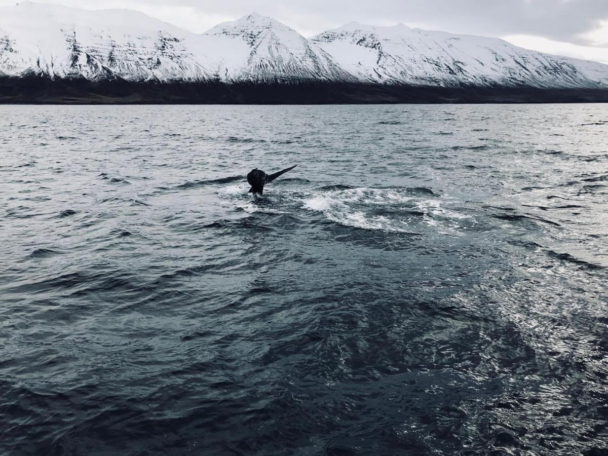 L&L Bnb - Stay'In Arbakki Arskogssandur エクステリア 写真